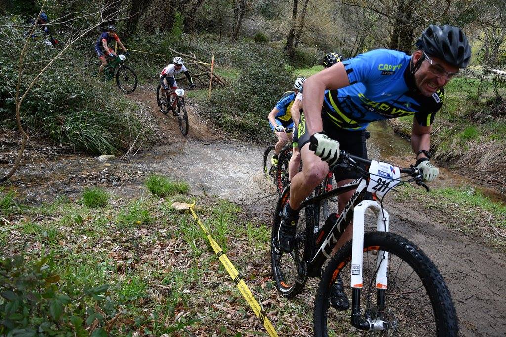 XC Mimosa David BONCI